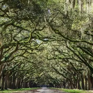 Sav Summer Escape - River St & Dt - Free Parking Savannah